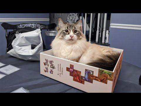 Острів котів - відкриваю коробку з грою